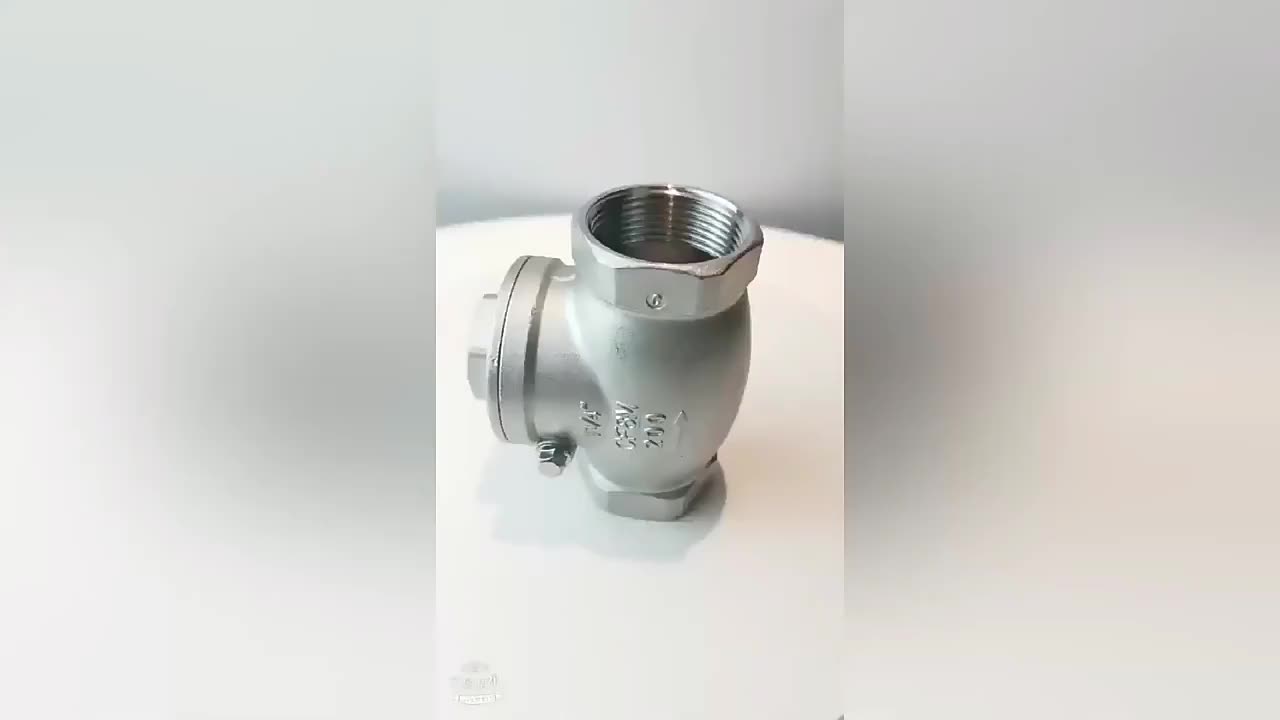 316 Stainless Steel 304 3/8 Inch Manual Vertical Check Valve with NPT/BSP Thread Spring Load 2pc Check Valve 1