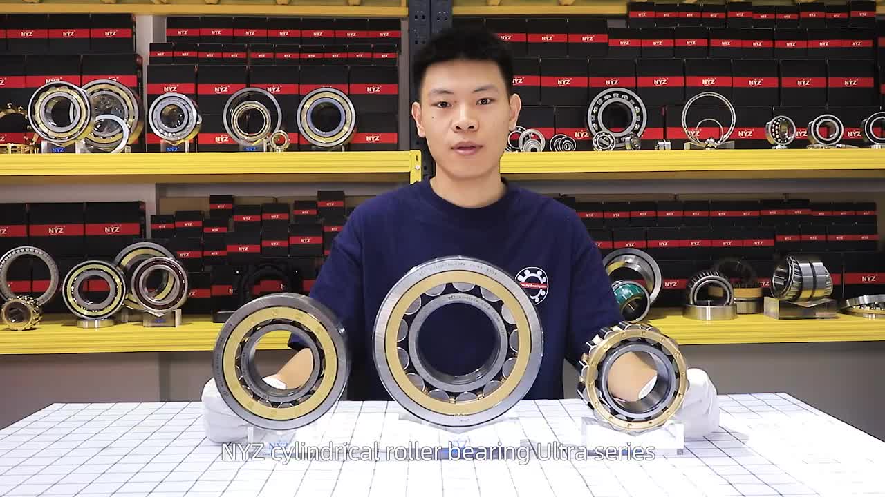 NYZ High Quality Single Row Deep Groove Ball Bearing 6213/6214/C4V L0241 P5 External Insulated Restaurants Printing Shops RS ZZ 1