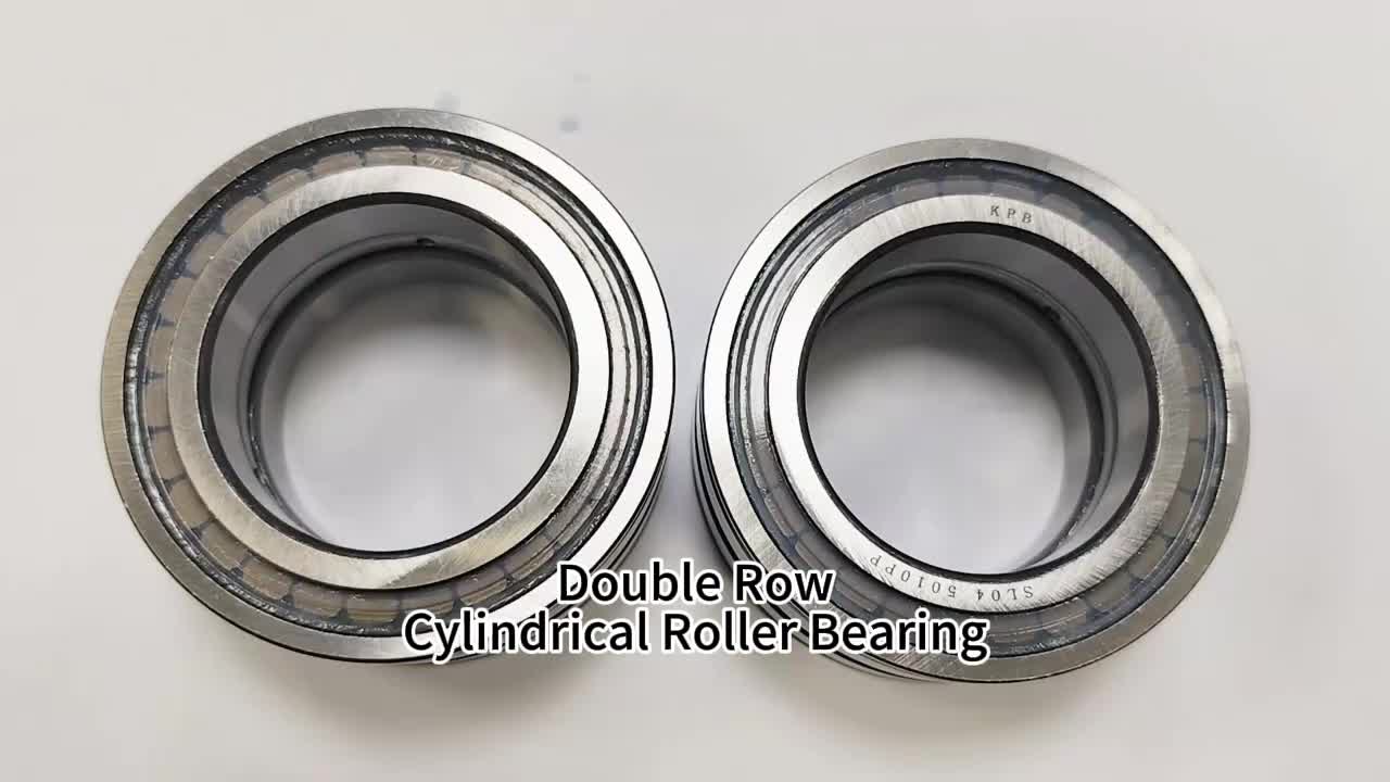 SL04 5010 PP NR Double Row Cylindrical Roller Bearing SL045010 50X80X40 Full Complement High Load Corrosion-Resistant Bearings 1