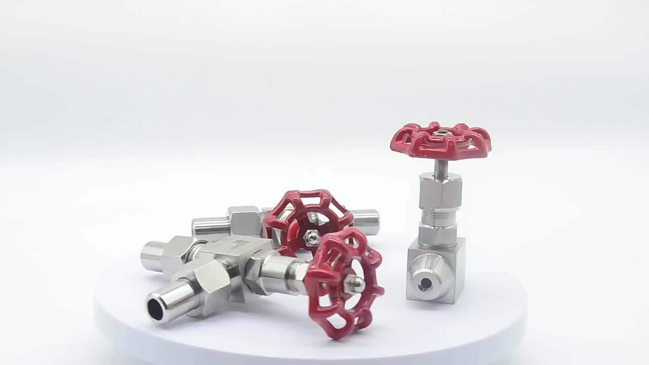 Furui J23W Manual High Pressure Double Union Butt Welded Needle Globe Valve Highly Durable Stainless Steel 304 316 WCB 16-32mpa 1