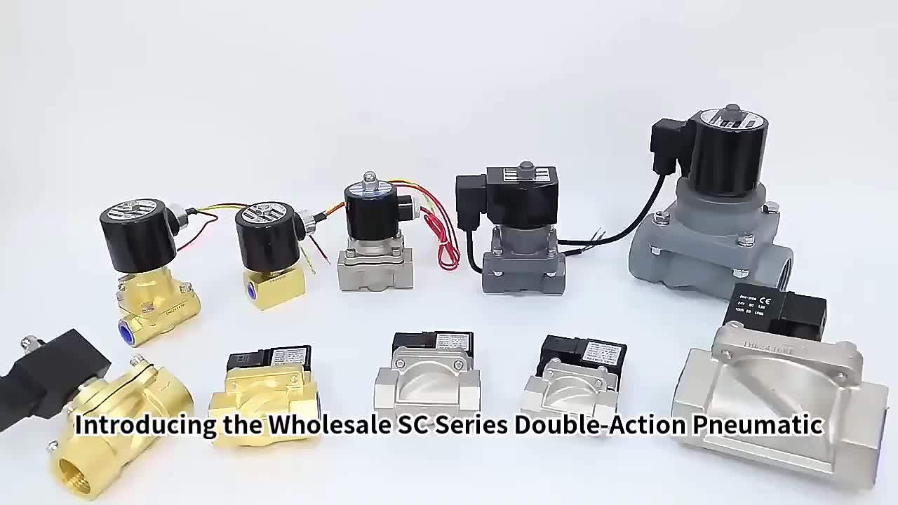 Free Sample NC Stainless Steel 2S Solenoid Valve for Water Control 24V 110V 220V Automatic 0~7Bar 1